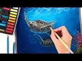 Drawing Sea Turtles with pastels | Wildlife Art