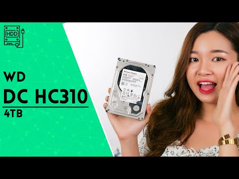 Western Enterprise Ultrastar DC HC310 | HANOICOMPUTER Quick Review