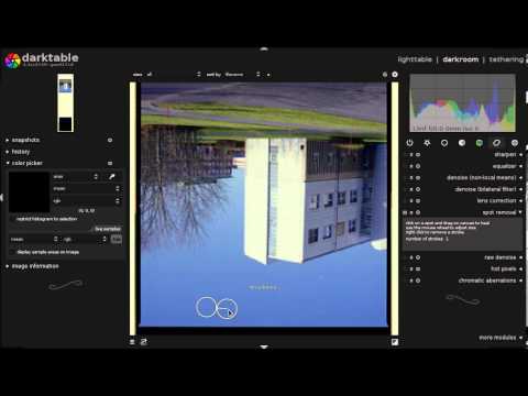 Negative film processing using darktable
