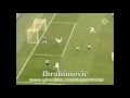 Amazing Ibrahimovic scorpion kick goal