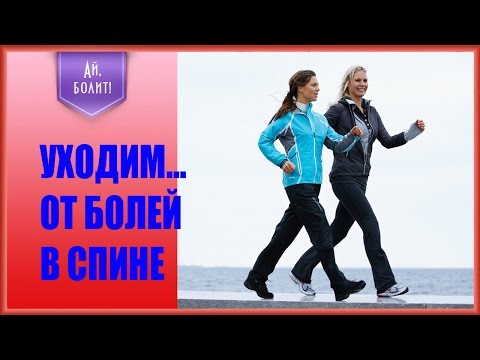 Роль связок в коленном суставе Тазобедренный сустав и йога