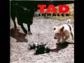 TAD - Leafy Incline