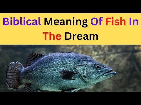 Biblical meaning of fish in the dream..