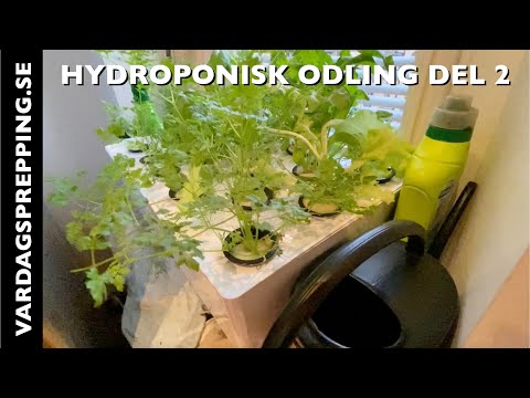 , title : 'Hydroponisk odling del 2'