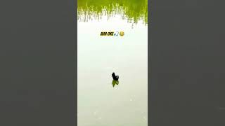 Download lagu Apapun kondisinya tetap bilang Oke‼️🎣 #mancing #ikan #fishing #funny #ok #ngakak #kocak #ytshorts mp3