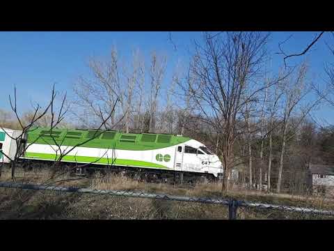 GO Train MP54 647 at Birchwood Park! April 7, 2021