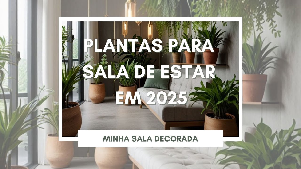 PLANTAS PARA SALA DE ESTAR/MELHORES PLANTAS PARA SALA DE ESTAR/ PLANTAS NA SALA DECORAÇÃO 2025