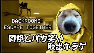 野郎と同期で笑いの脱出ゲーライブ配信 【Backrooms: Escape Together】
