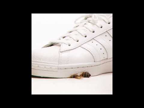 CHIP - BEEHAVE (VISUALISER)