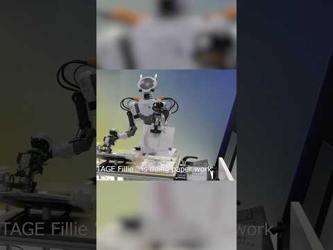 NEXTAGE Fillie Review Video 2