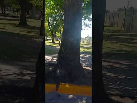 Calles de Lobos, Buenos Aires, Argentina