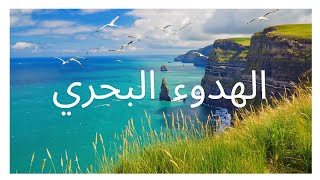 المنحدرات البحرية الهادئة والنوارس – ساعتان من أصوات البحر للاسترخاء ورعاية الذاكرة