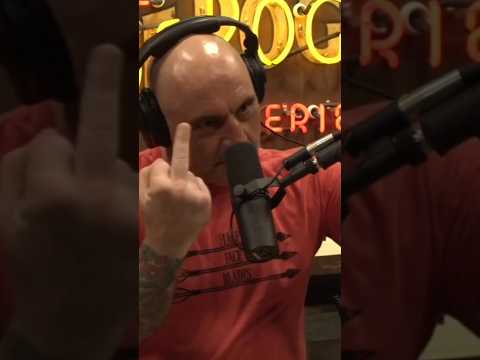 🖕🖕DMT entities to Joe Rogan