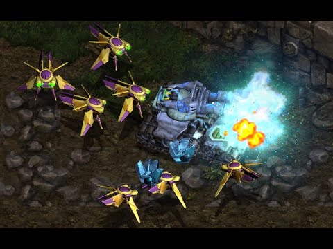 Bisu! 🇰🇷 (P) vs Fantasy! 🇰🇷 (T) on Vermeer - StarCraft - Brood War