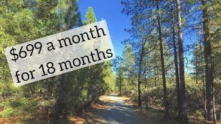 Northern California Pine Trees, RV Living Welcome