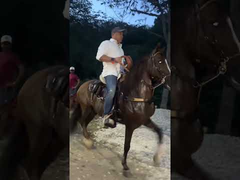Cabalgata El Guamo Bolívar parte 3