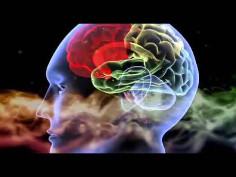 Theochemie 4,1 Der Mensch -  Der Quanten Aktivist - Dr. Amit Goswami