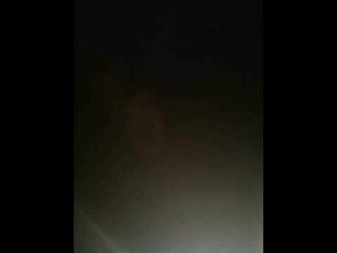 Damu The Fudgemunk, Flex Mathews, Kunal, Bilingual