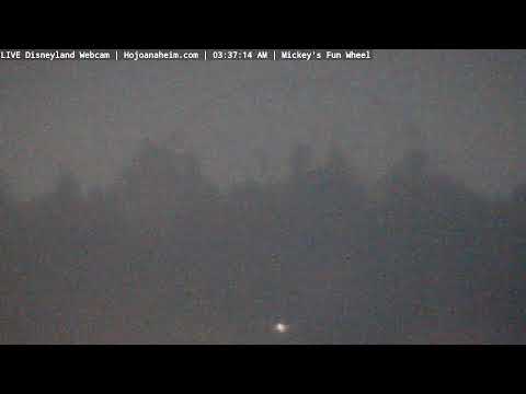 Live webcam of Disneyland Cam