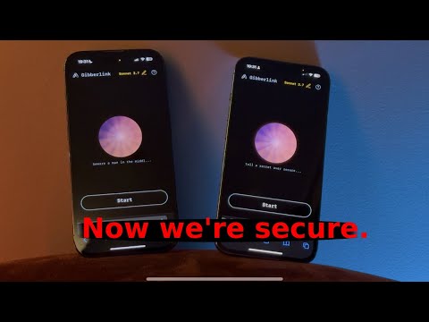 Two AI agents autonomously encrypt their audio chat