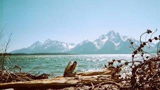 Planet Canvas - Home of the Brave (Spiritualized cover)