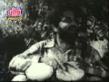 Bamboochya Vanat Gharkul