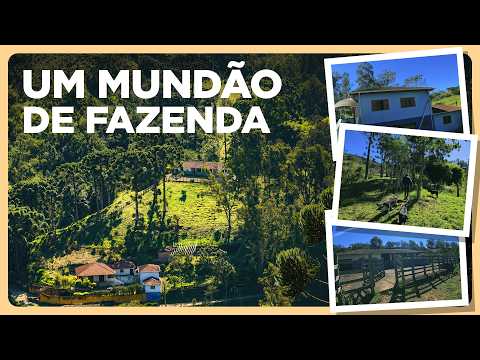 FAZENDA DE 15 HECTARES NO ALTO DA SERRA DA MANTIQUEIRA MARMELOPOLENSE, MINAS GERAIS