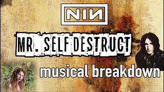 &quot;MR. SELF DESTRUCT&quot; musical breakdown // Nine Inch Nails (The Downward Spiral)