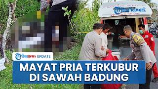 Identitas Mayat Pria Terkubur di Sawah Badung, Ternyata Korban Pembunuhan Berencana Eks Rekan Kerja
