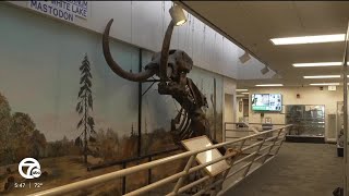 Elmer the Mastodon is on the move