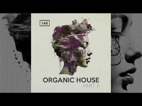 Organic House 2 | Sounds and samples for Organic House productions