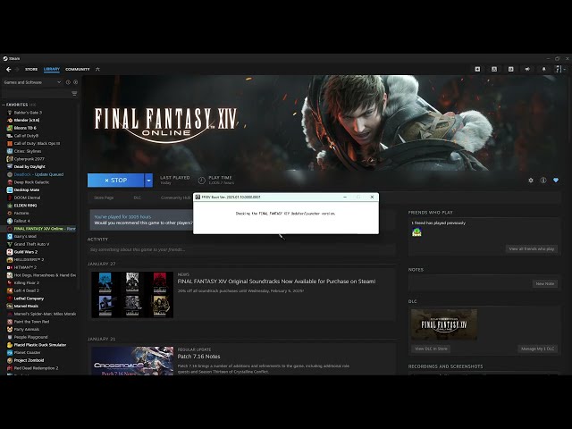 Video preview
