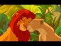 El rey leon - Esta noche es para amar 