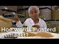 Doen ze dat zo: Hoe wordt mosterd gemaakt? | Het Klokhuis