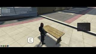 ECO Placement - FiveM - Standalone