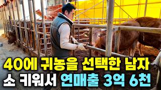 "가위 놓고 삽 들었습니다" 서울 한남동 미용실 그만두고 소 키우는 40대 남자의 하루