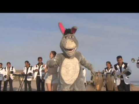 Alvaro  Monterrubio - El  Burrito  HQ