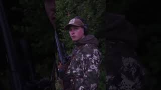 Rotwildbrunft in Polen 🇵🇱 von  ⁨@Hunterfieber⁩