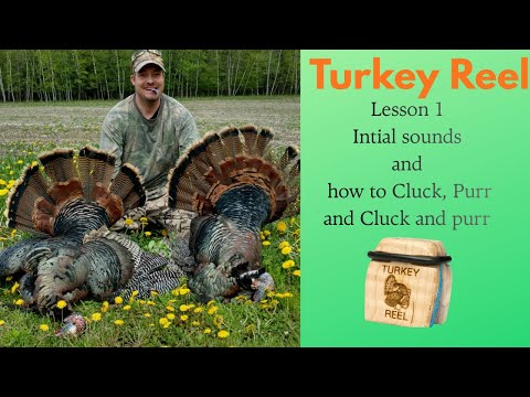 Initial sounds and Cluck and Purr w Turkey Reel-Lesson 1