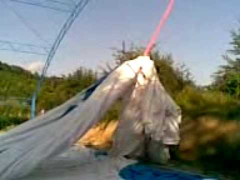 cane dobric,srbin sa Banije