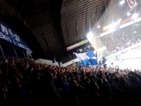 ambri fans