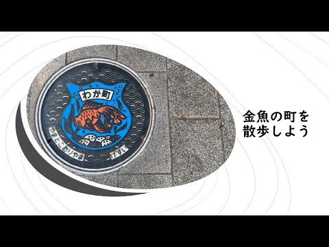 金魚の町を散歩しよう【小学校4年生以上向け】