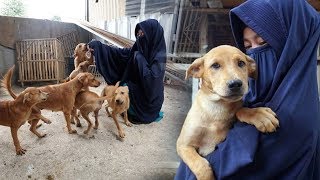 Download lagu Viral, Bercadar Namun Pelihara 11 Anjing, Hesti Sutrisno Tak Peduli dengan Gunjingan Tetangga mp3
