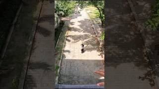 Download lagu Angry Serbian Dancing Lady Horror and the Ending Chase Episode 1 #serbiandancing #parkour #shorts mp3