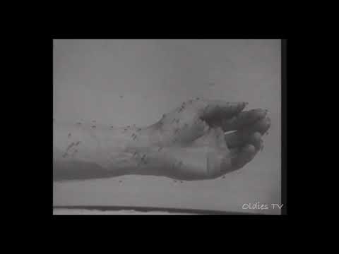 1960's Off Insect Repellent Commercial