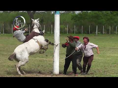 San Cristobal 2026 - Clasif. a la Final en Cayasta - Categ. Grupa - 59º  Fiesta Nacional del Caballo