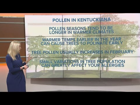 Weather Wise: Pollen