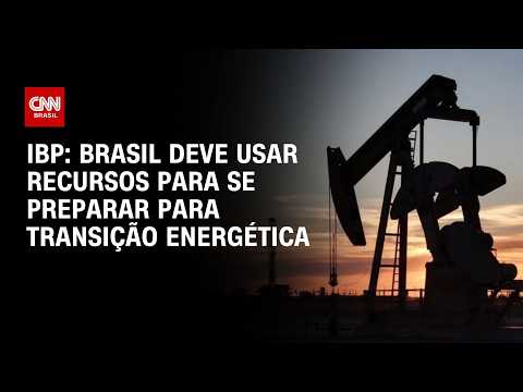 Brasil deve usar recursos para se preparar para transição energética, diz IBP | WW