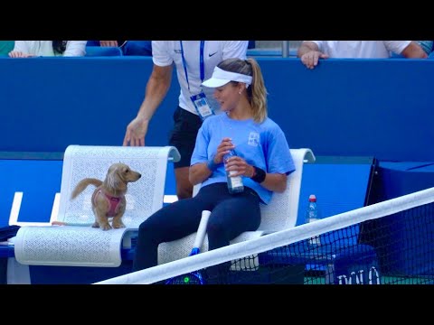 kalinskaya and her dog Bella at practice 