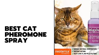 Best Cat Pheromone Spray